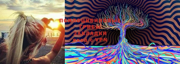 ALPHA PVP Баксан