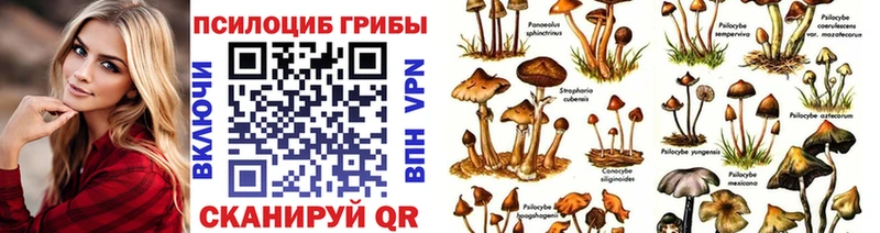 Псилоцибиновые грибы мухоморы  Олёкминск 